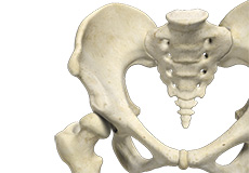 Developmental Dysplasia