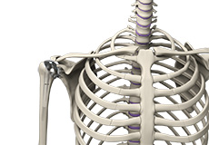 Outpatient Joint Replacement